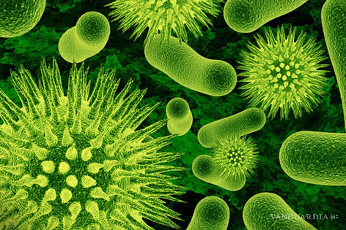 Crean bacteria transgénica que come mercurio