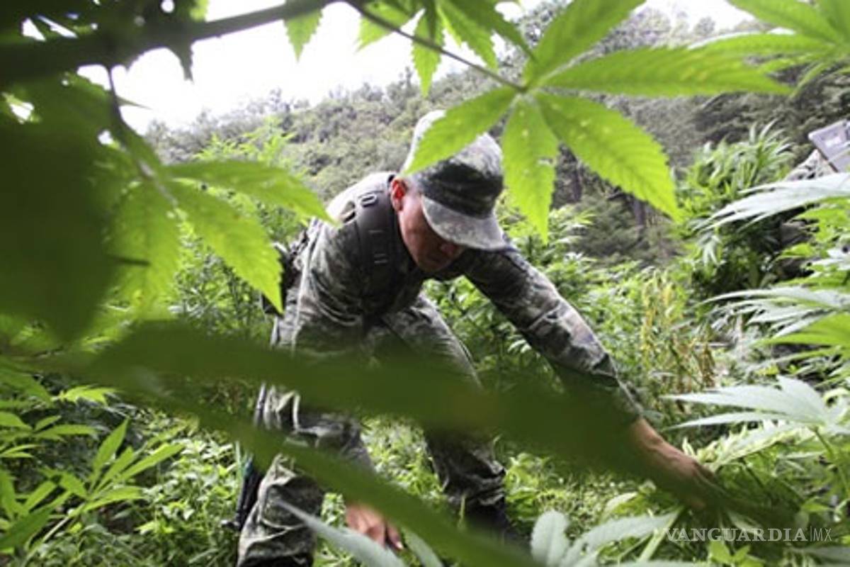 Legalizar drogas sólo agravaría el narcotráfico: ONU