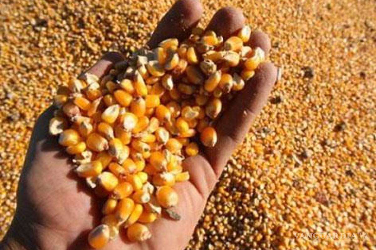 México, de los países que más bajaron producción de granos