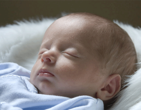 En México ya puedes escoger a tu bebé por medio de catálogo