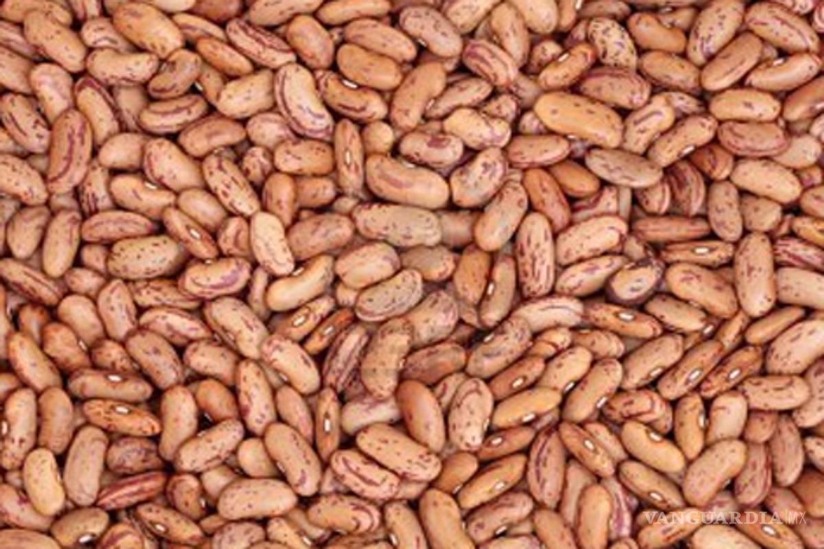 La producción de frijol en Durango, devastada