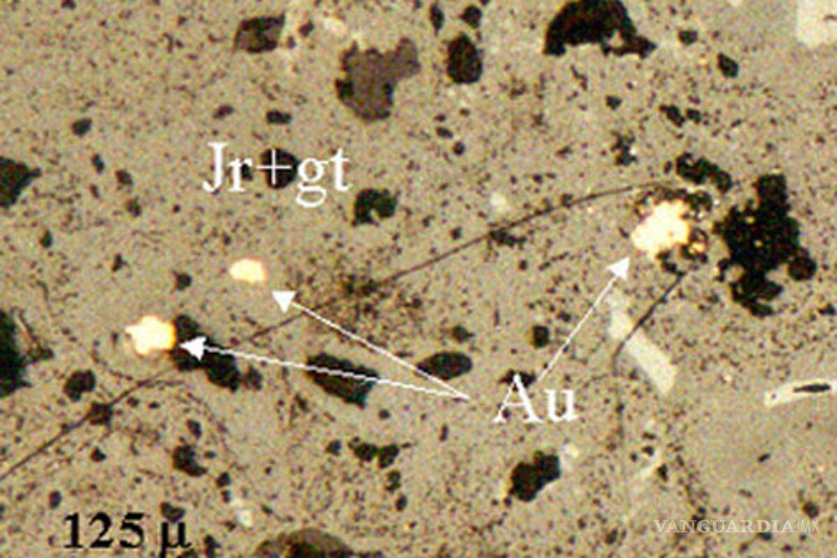Mineras usan el hambre de la gente para operar en Wirikuta, denuncian activistas