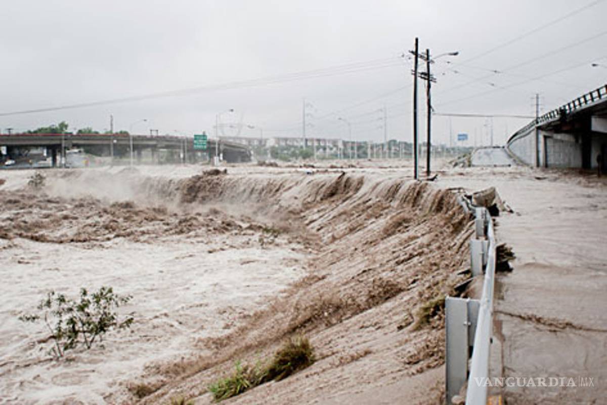 Huracán Alex no sólo dejó destrucción; reveló un tesoro de especies prehistóricas