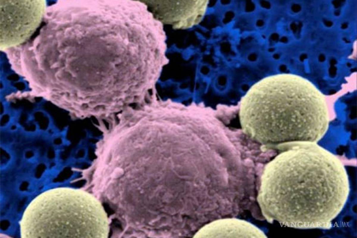 Presenta Cuba cuatro vacunas para tratamiento de cáncer