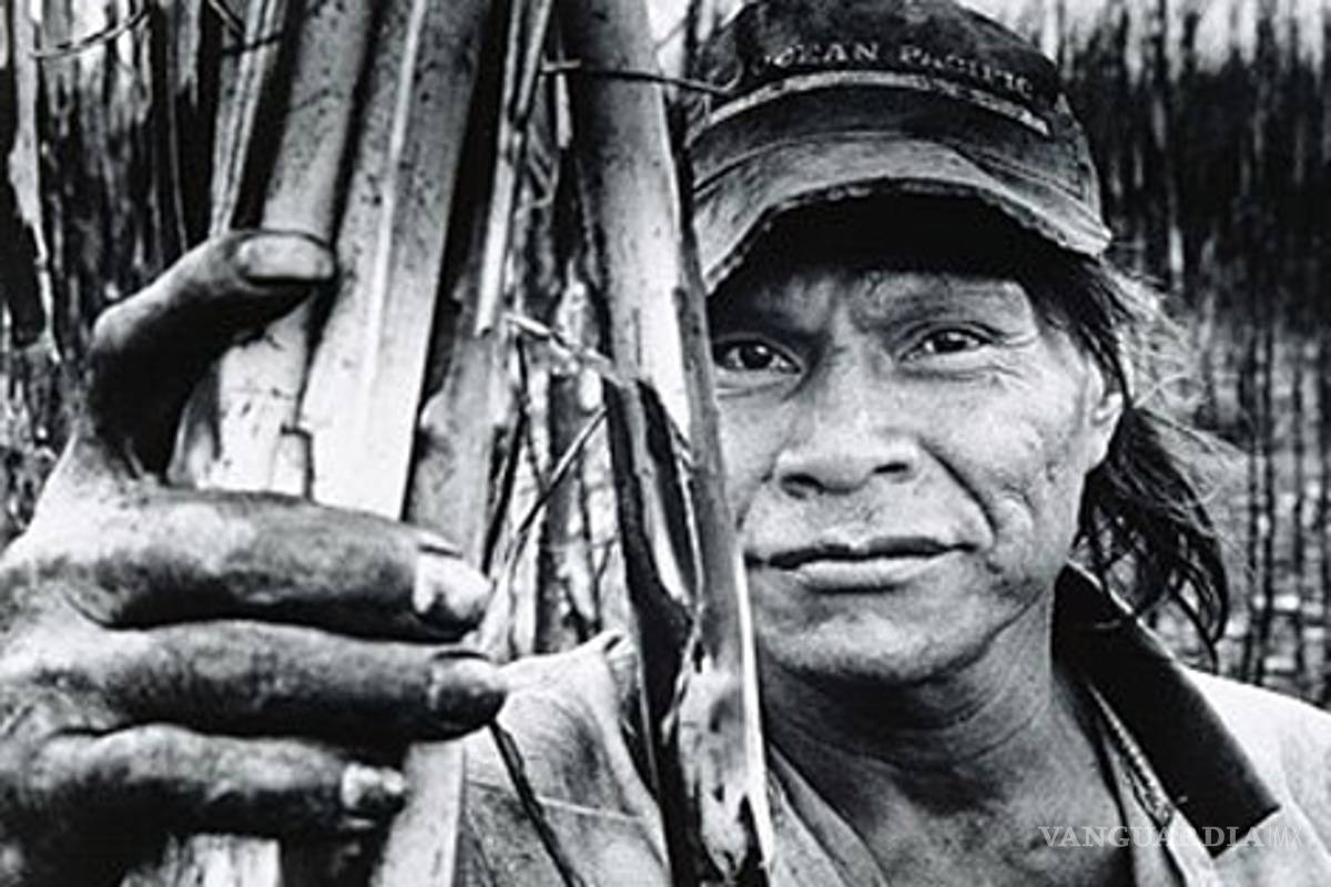 Trabajo esclavo contemporáneo: Un análisis desde el caso brasileño