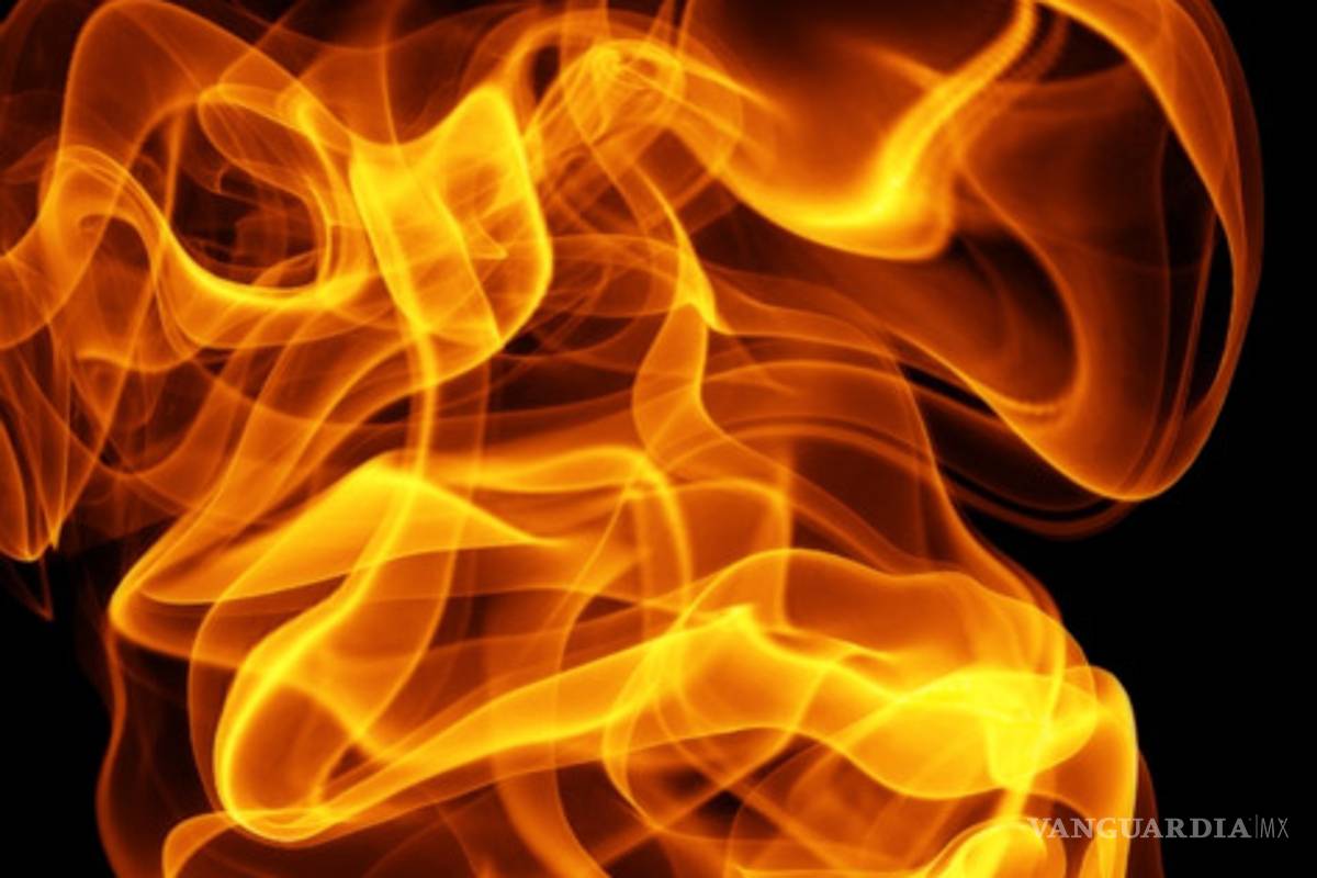 Antivirus para Flame ya existe, asegura Irán