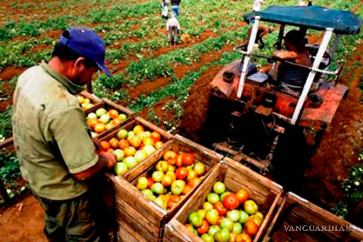 En 30 años, México importará 80% de los alimentos: ONU
