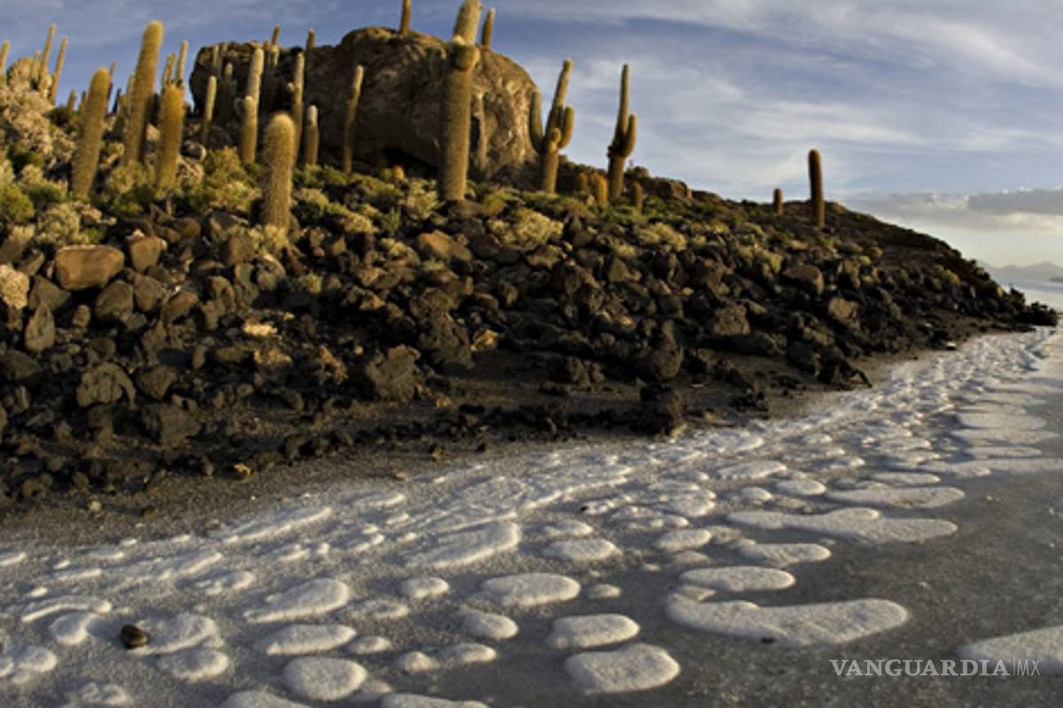 Explotación de litio en Argentina: 33 comunidades y Pueblos originarios solicitan amparo