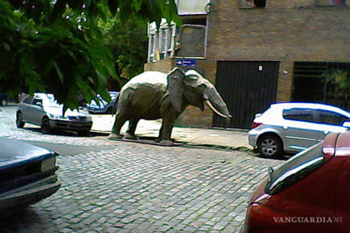 Diviértete o indígnate con las leyes más absurdas del mundo