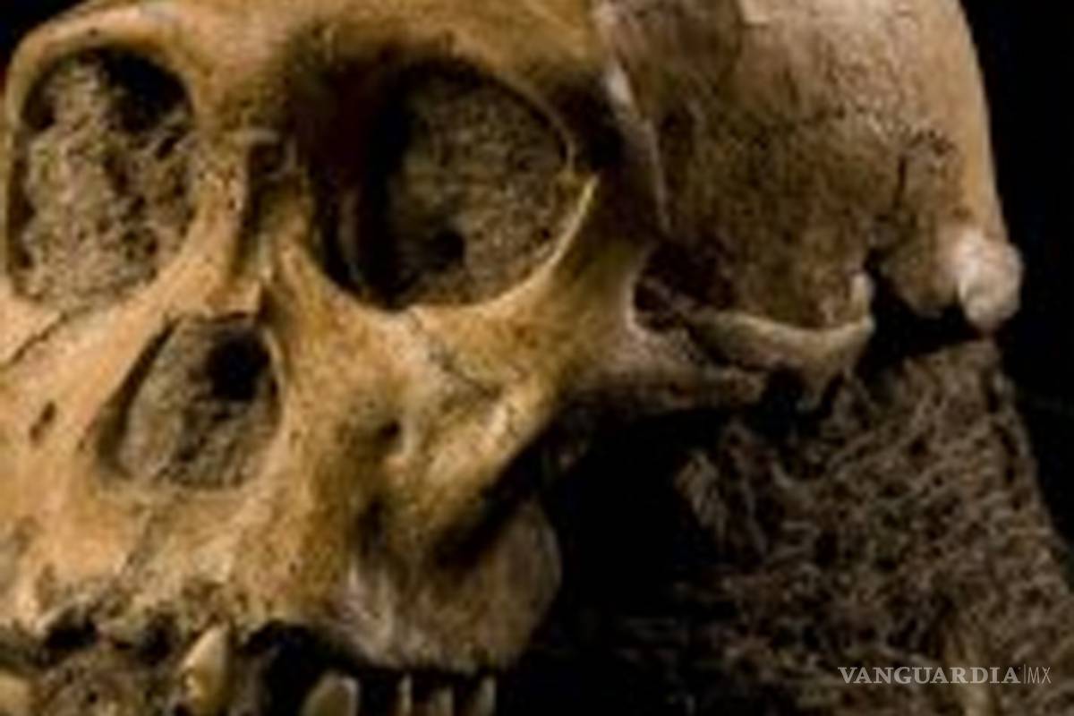 Hallan evidencia antigua de humanos en América