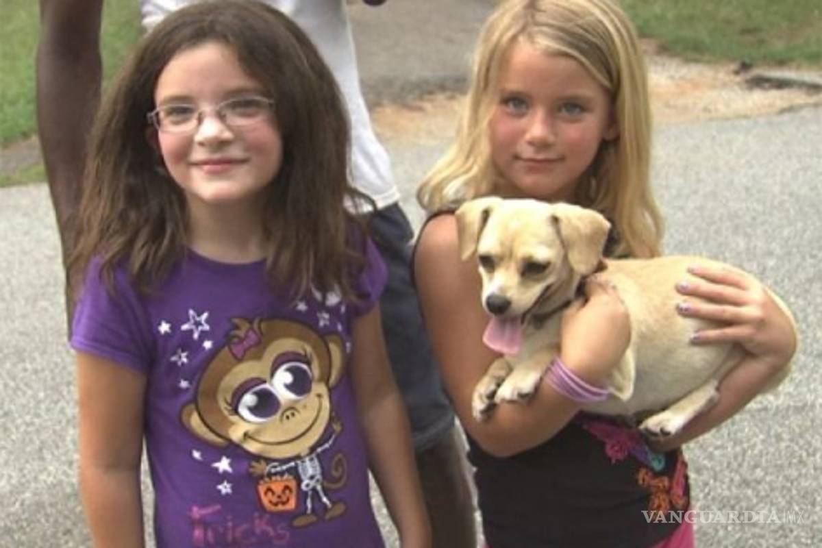 Perro chihuahua se convierte en héroe por encontrar a niñas desaparecidas en el bosque