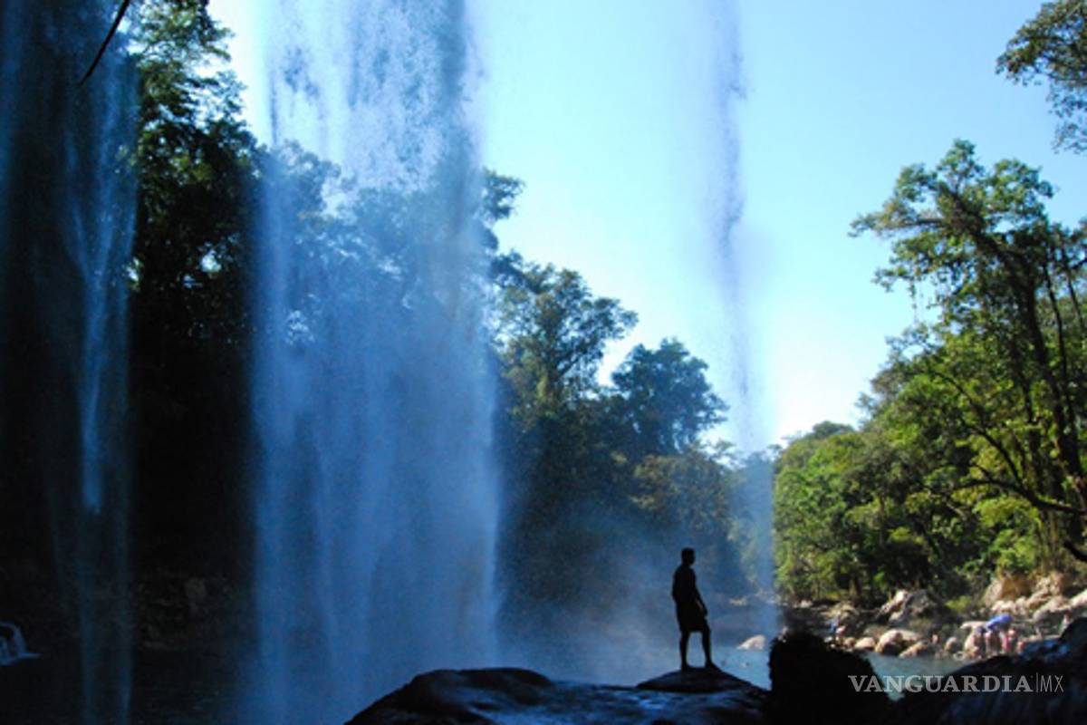 La Selva Lacandona, reserva del mundo