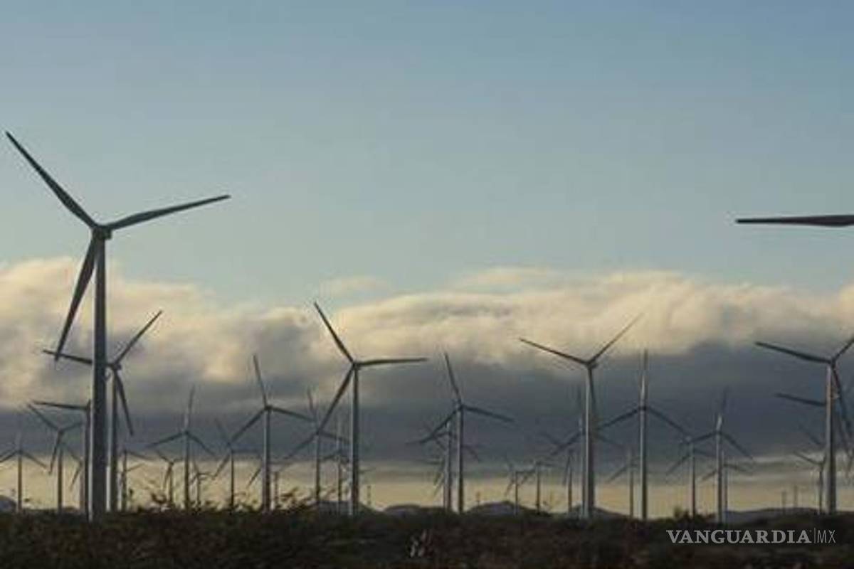 Desalojan y detienen a opositores a parque eólico en Juchitán, Oaxaca