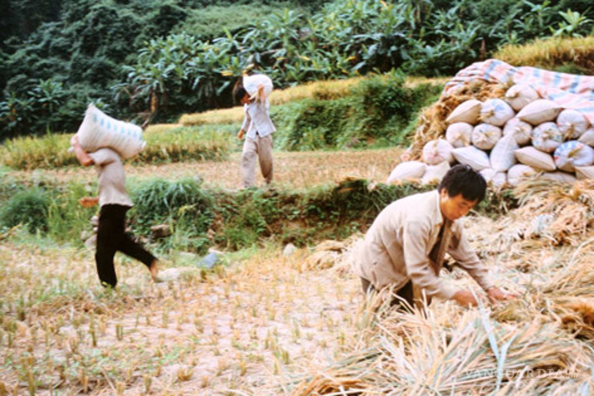 Casi 27 millones de chinos rurales bajo la línea de pobreza