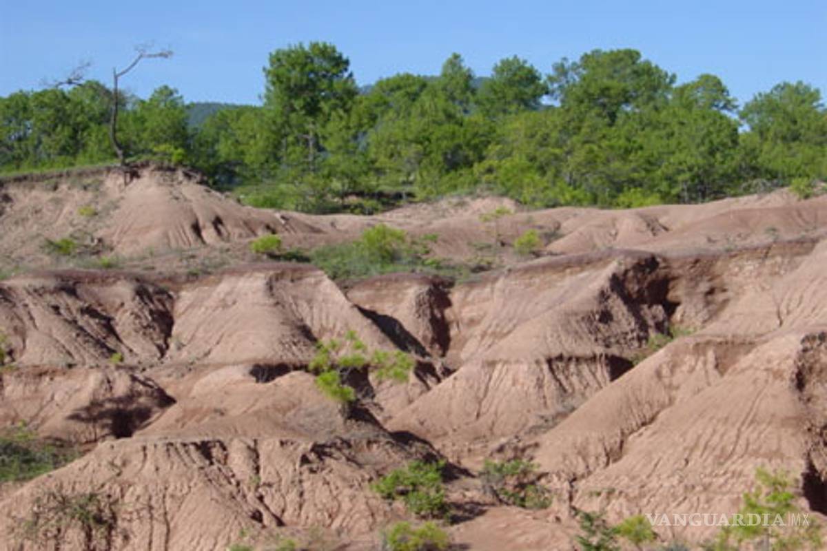 La Mixteca alta de Oaxaca, de las zonas más erosionadas del mundo, dice experto