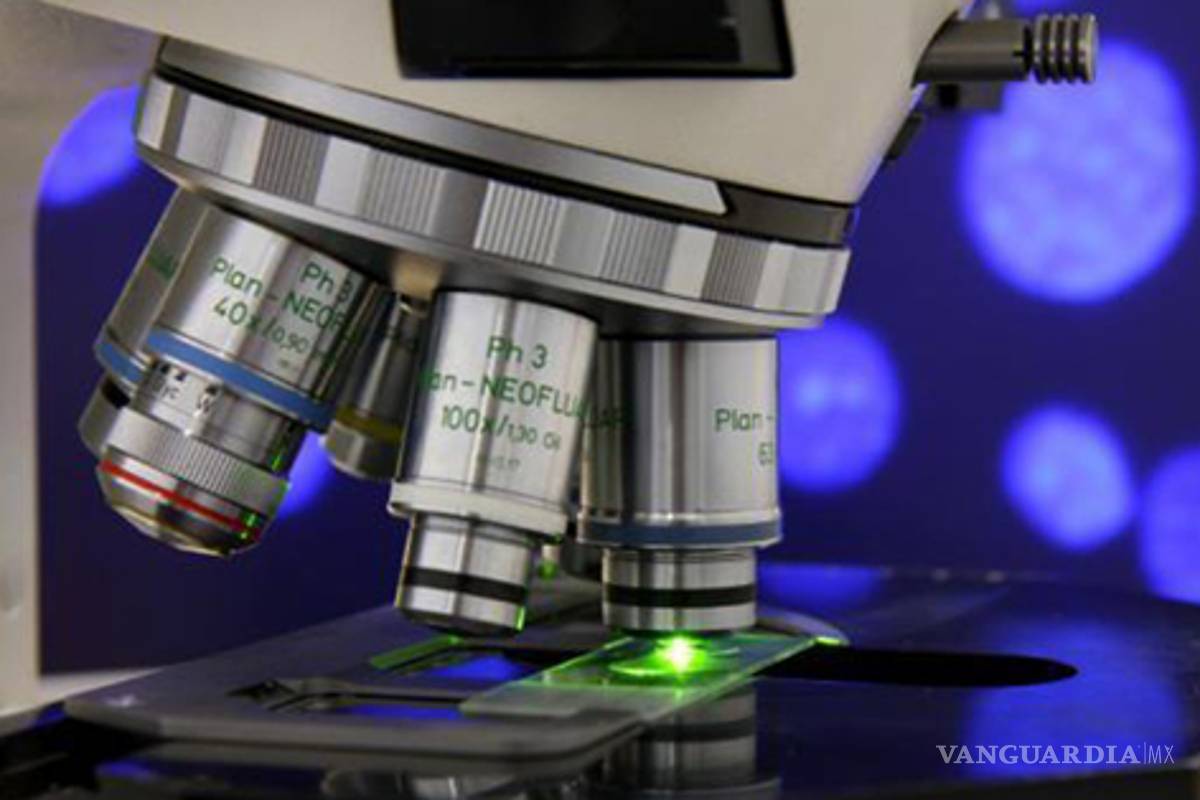 Presencia de bacterias modifican la virulencia de amibas: Cinvestav