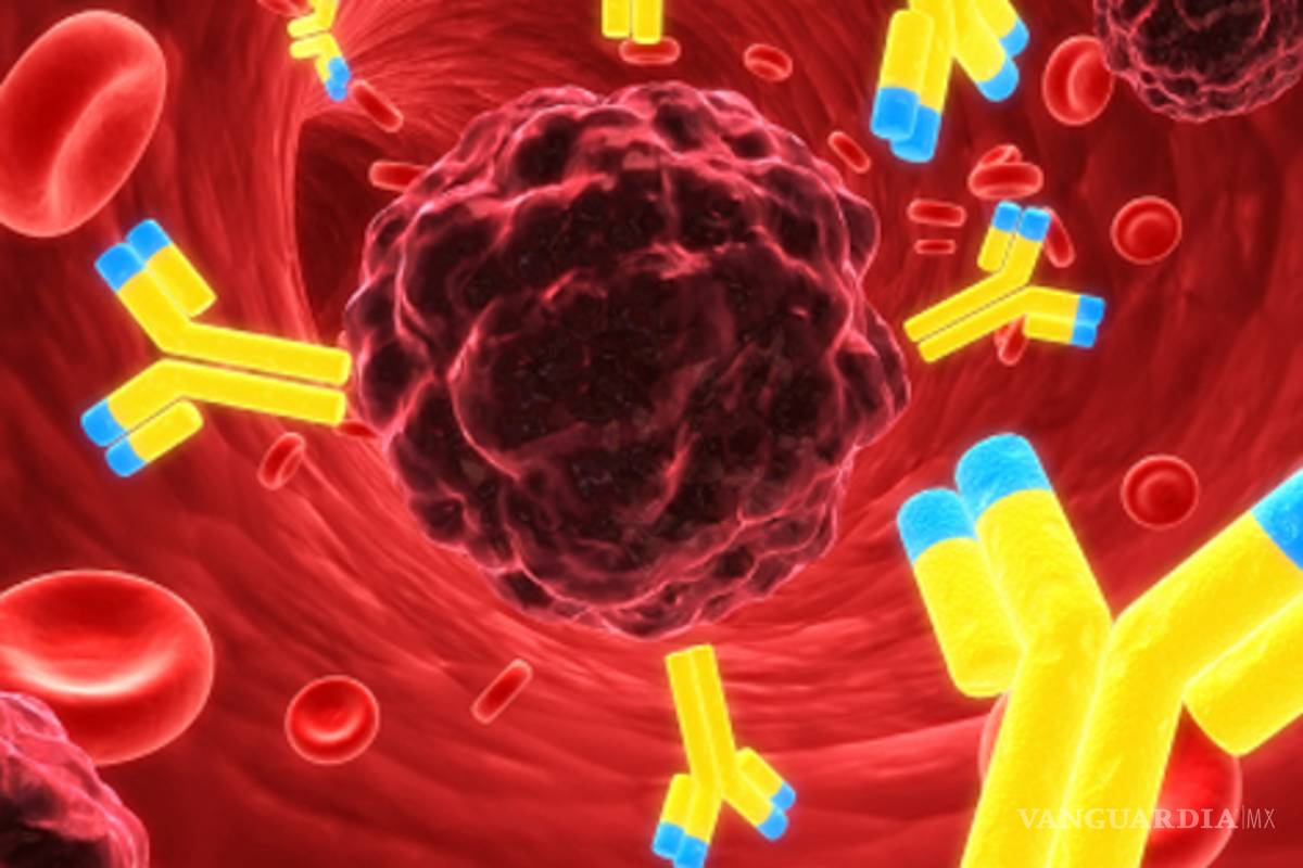 Científicos afirman haber encontrado el gen que extiende el cáncer