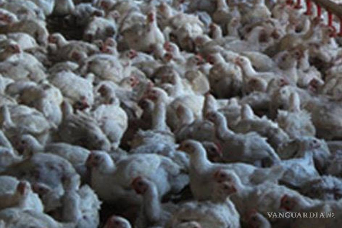 Caída de 30% de industria alimentaria en México: UNAM