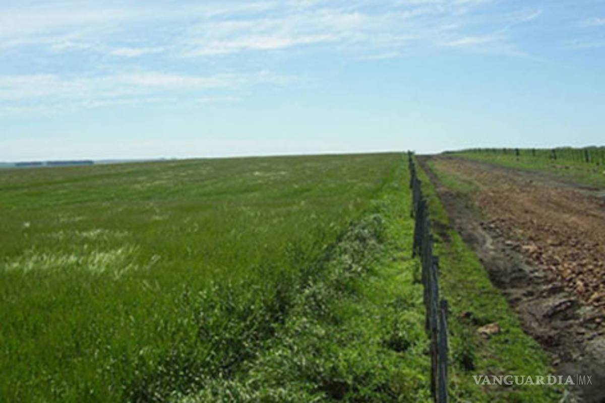 Argentina: Los verdaderos dueños de la tierra