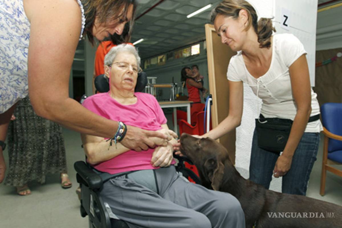 En busca del origen del Alzheimer