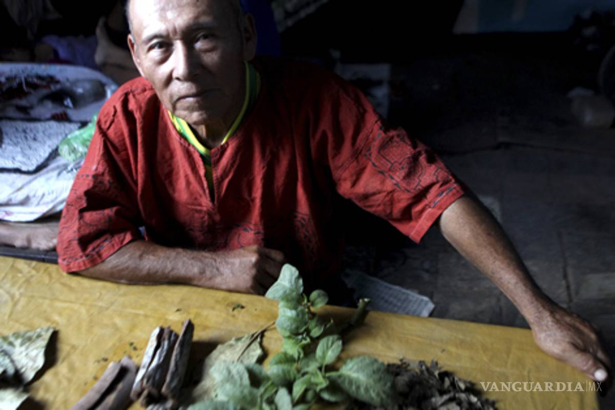 Medicina indígena, sanadora del cuerpo y del alma