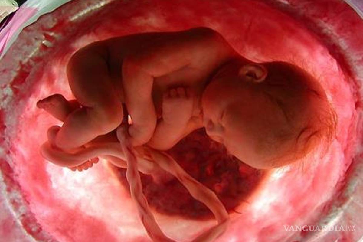 Aborto, un acto 'abominable': Iglesia Católica