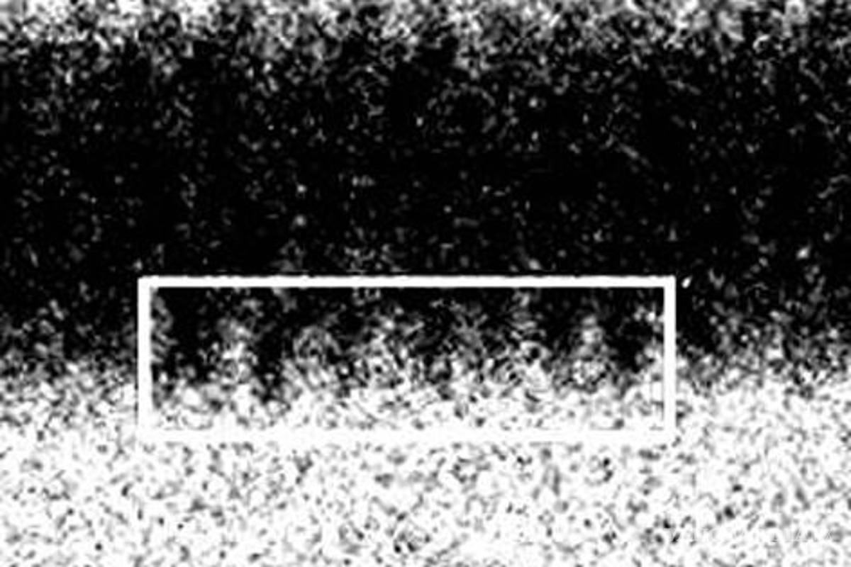 Logran fotografía del ADN