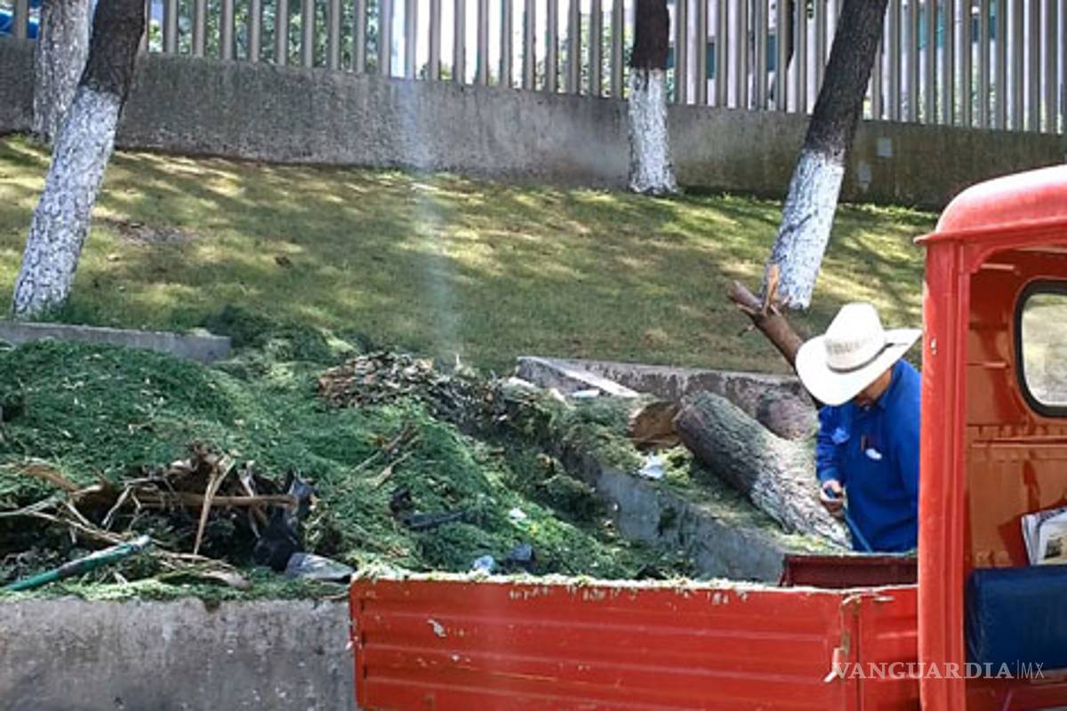 Crean tecnología para fabricación de composta en escuelas