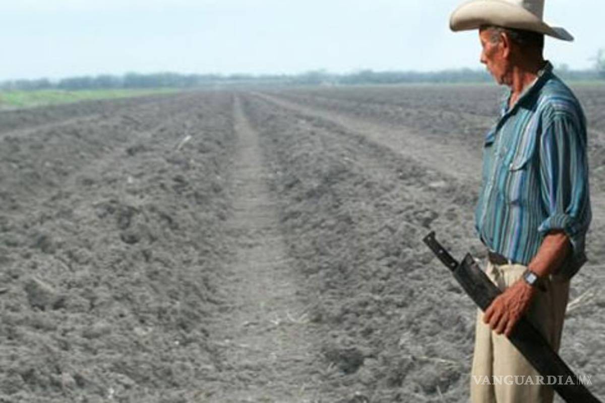Sequía que afecta a EU hará que se incremente los precios en los granos
