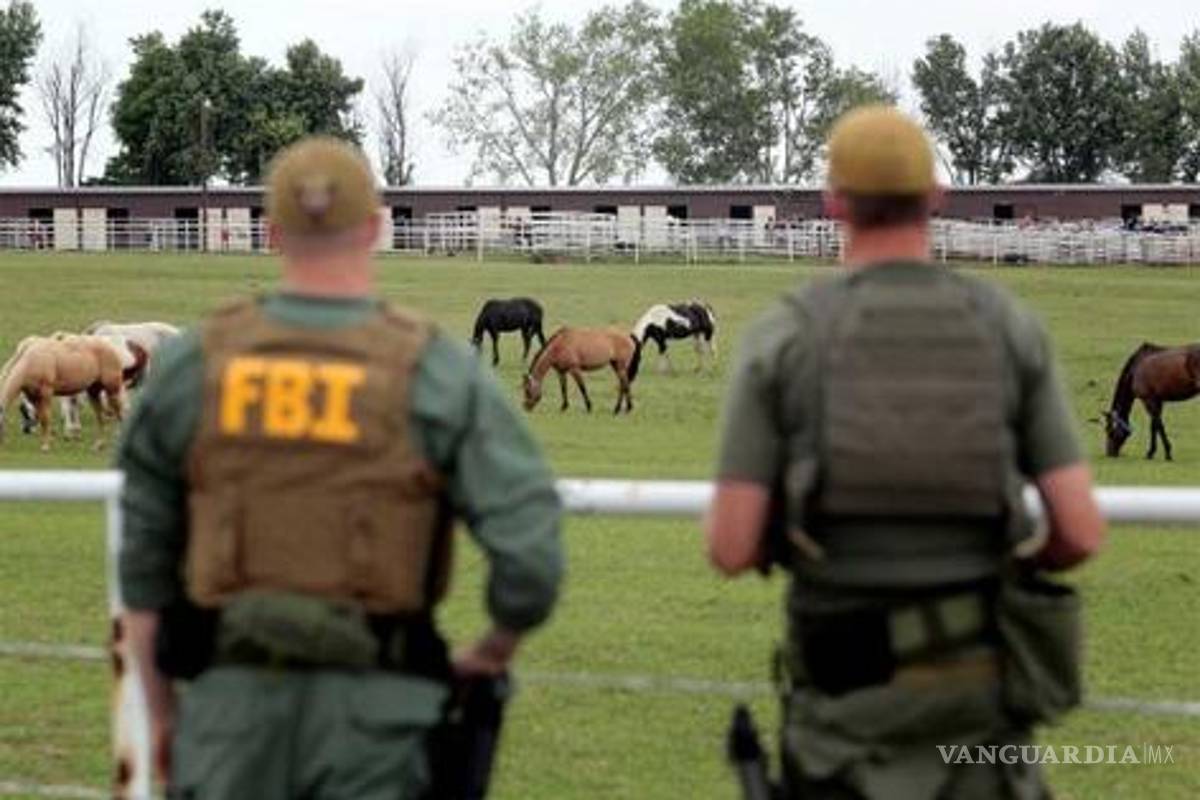 Subastarán en Texas caballos decomisados a Los Zetas