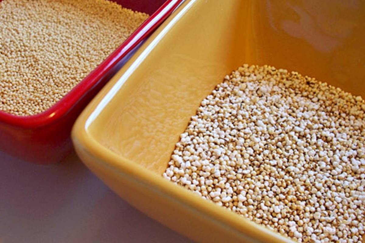 Amaranto, alimento con alto valor proteico para la dieta