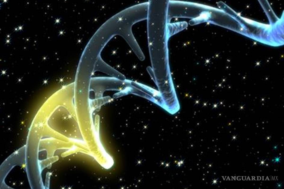 La muerte, necesaria para la vida y la evolución