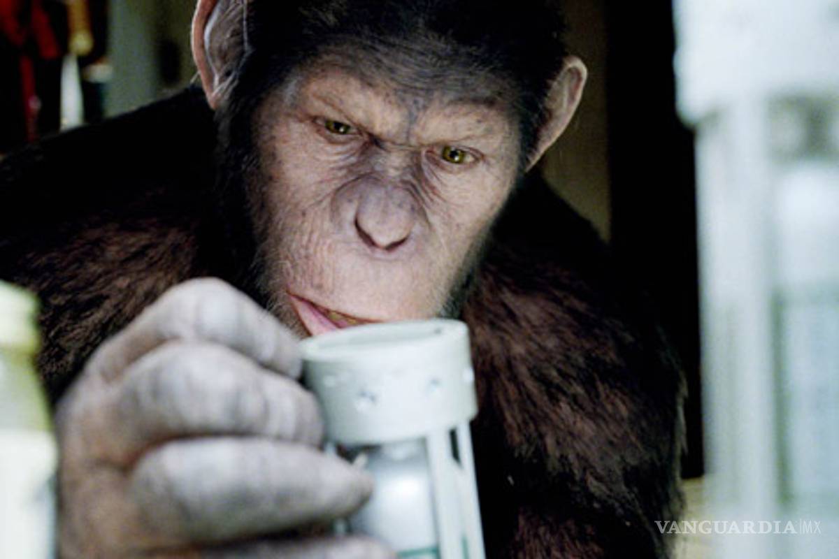 ¿Un simio podría ganar el Oscar?