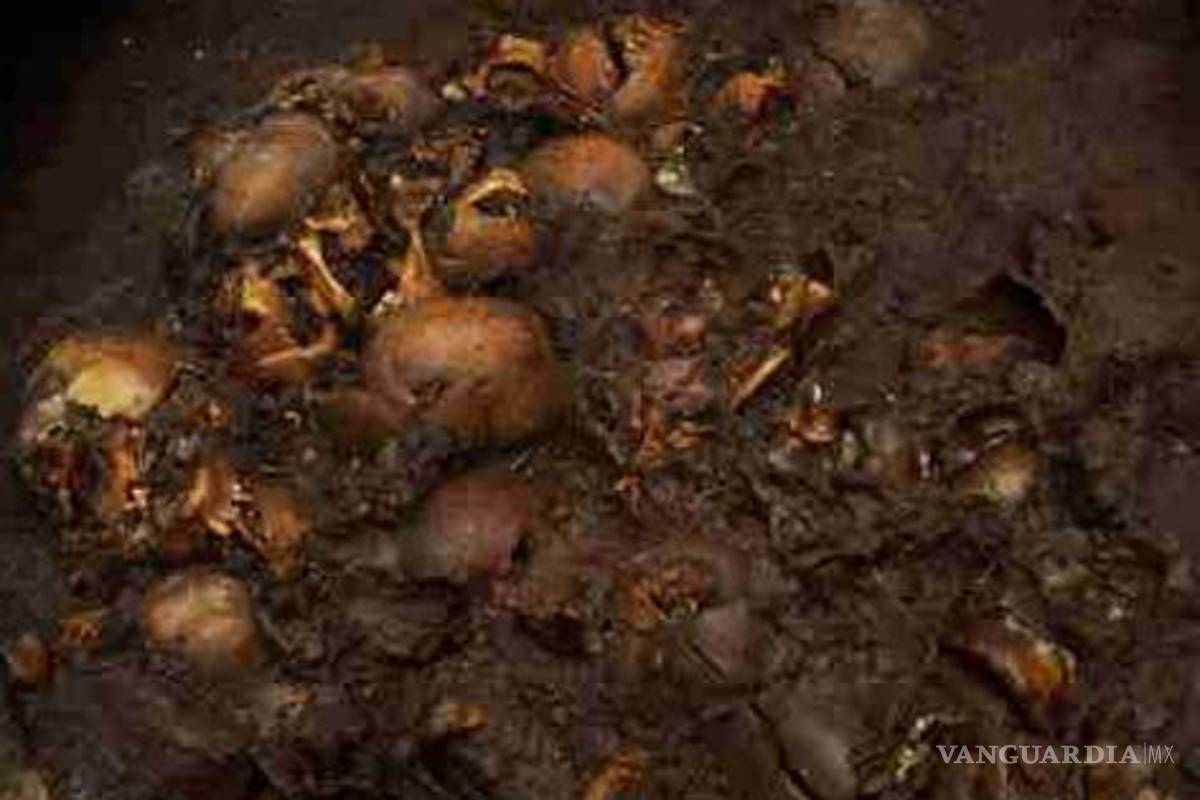 Hallan 180 cráneos de sacrificios prehispánicos en centro de México