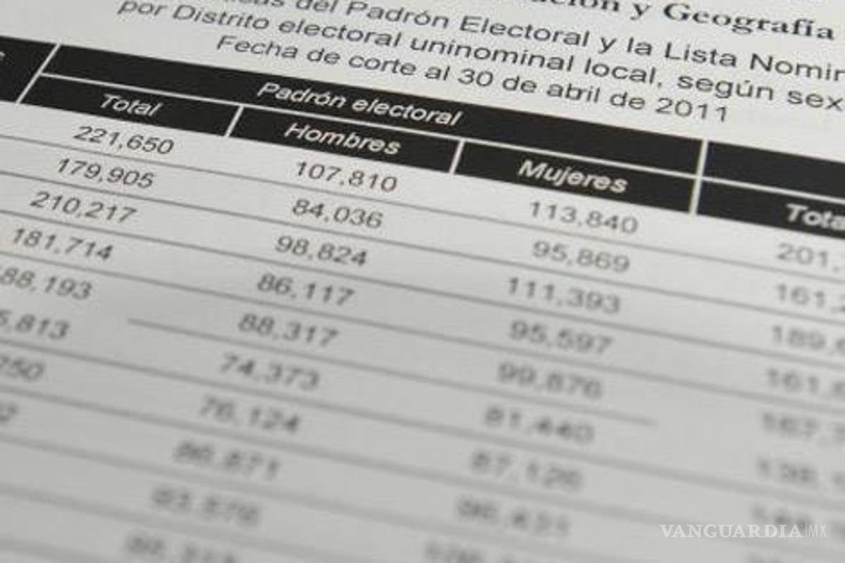 Se vende por 15 mil pesos el padrón del IFE