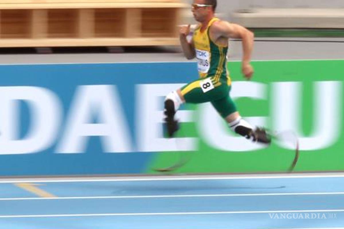 Pistorius se medirá con un caballo árabe pura sangre