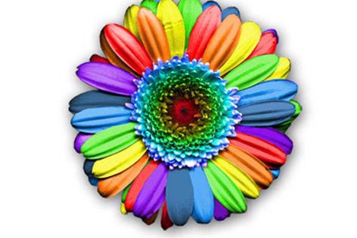 Homosexuales en México, reconocidos en leyes, pero con poca aceptación social: diplomáticos