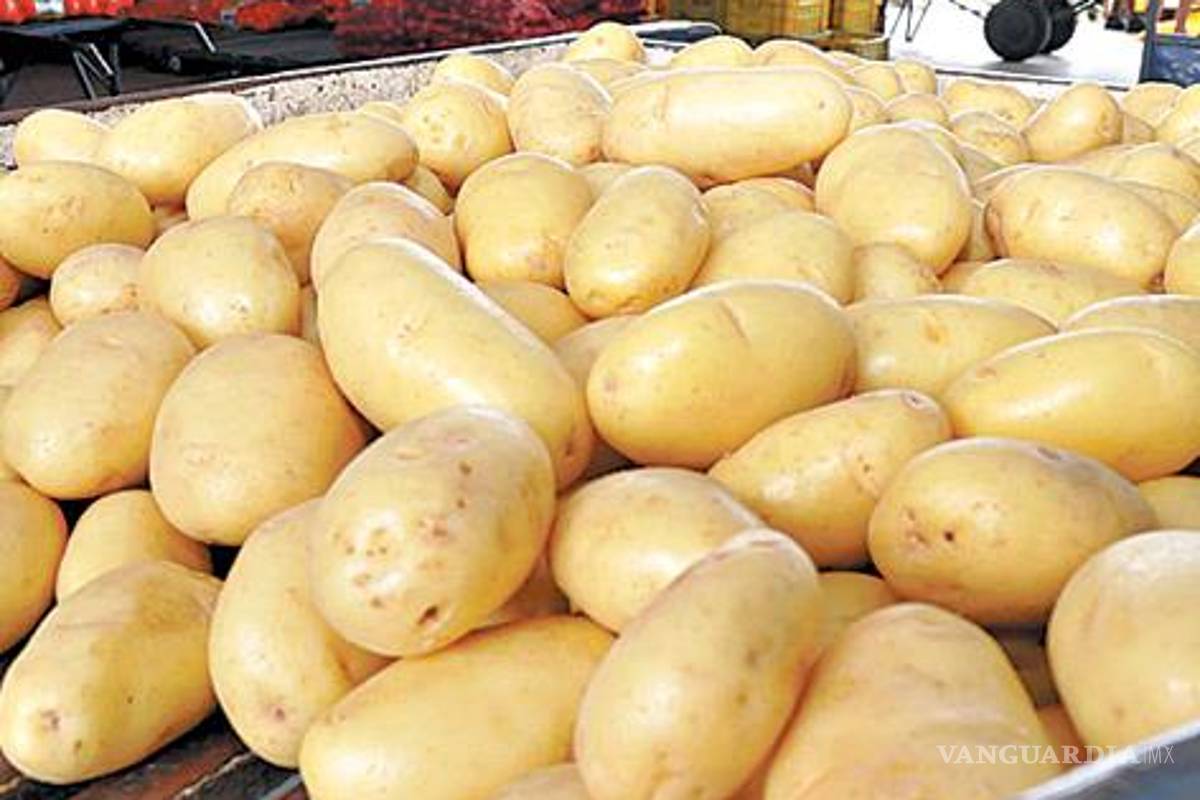 A consulta, medidas para importar papa