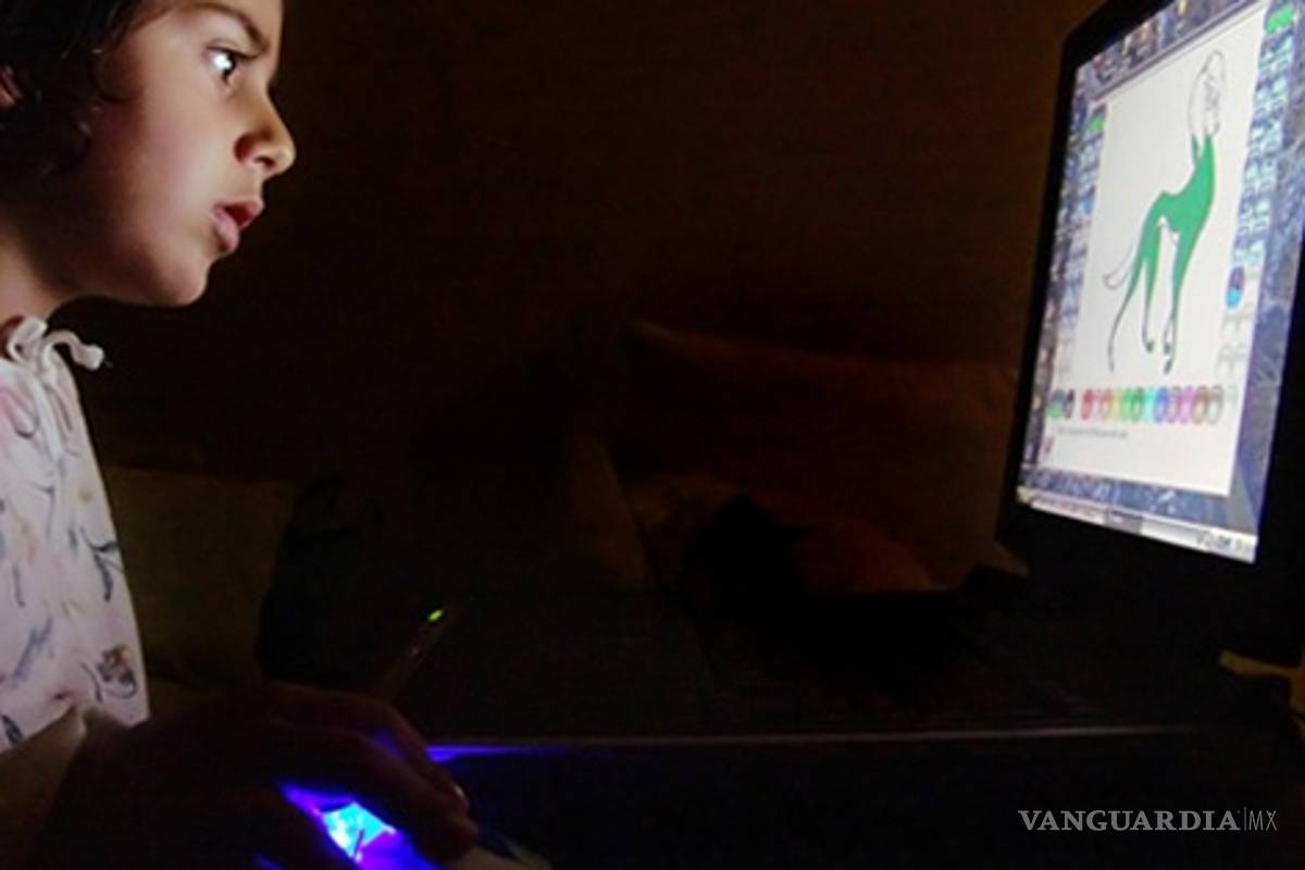 Hay 20 millones de hogares sin computadora ni acceso a Internet: Cinvestav