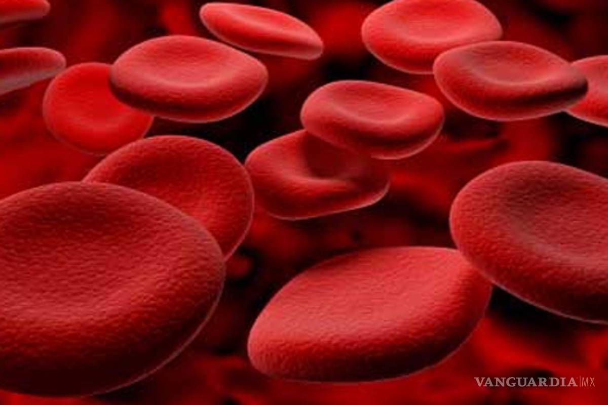 El estrés oxidativo, fatal para pacientes con cáncer o diabetes