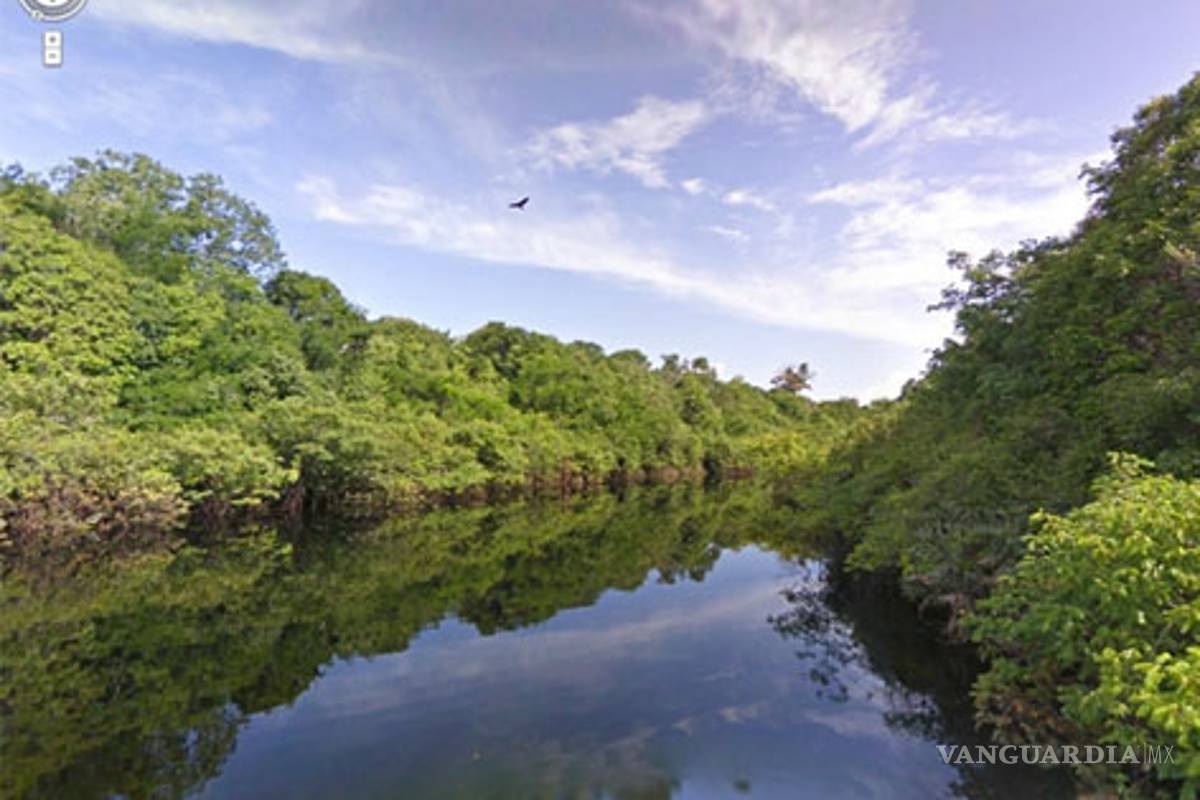 Google te lleva a las profundidades del Amazonas