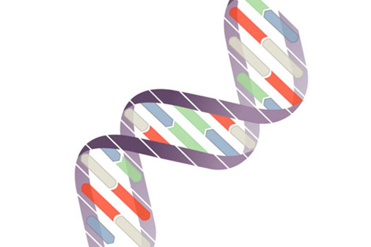 ¿ADN como disco duro?, ya es posible