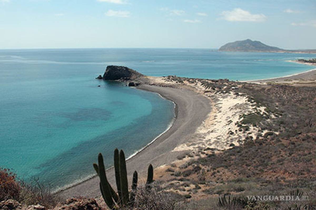 Inician campaña nacional en favor de Cabo Pulmo