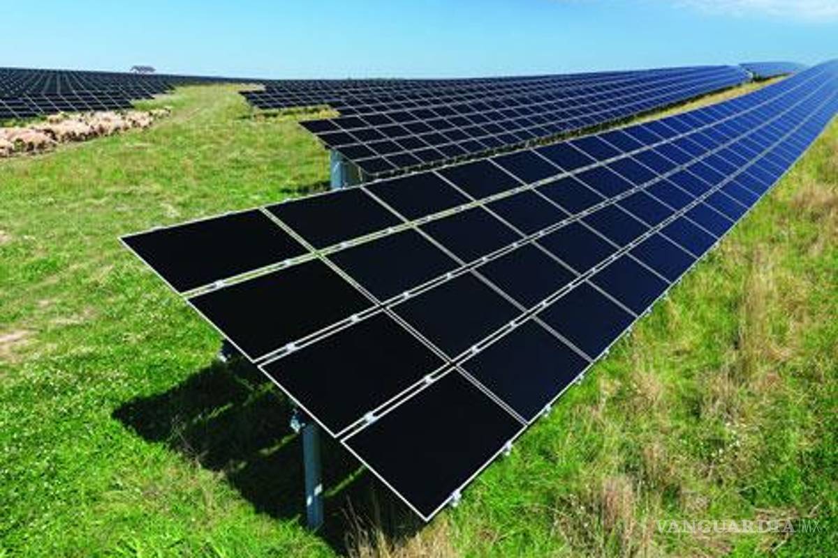 Promueve el Ciatec el uso de plantas fotovoltaicas y granjas solares