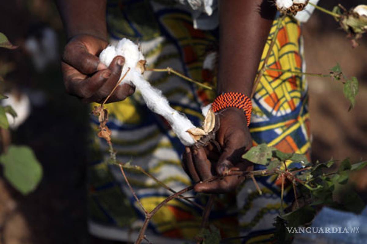 Niños de Burkina Faso cosechan algodón para Victoria's Secret