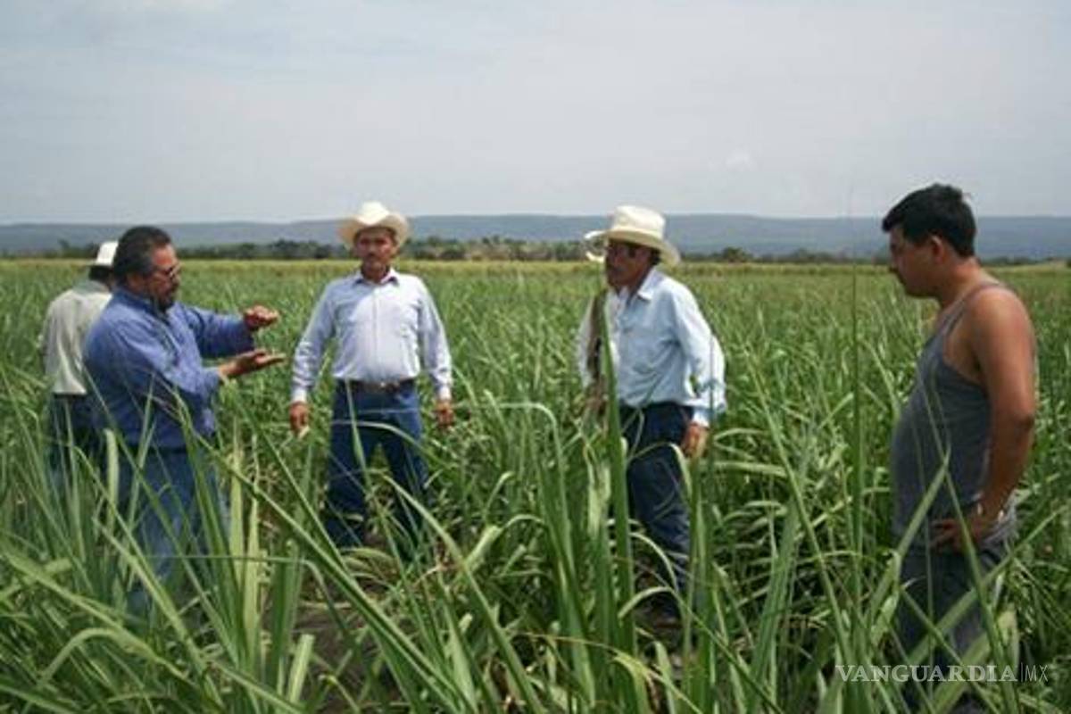 Calderón traicionó los ideales de la Revolución: campesinos