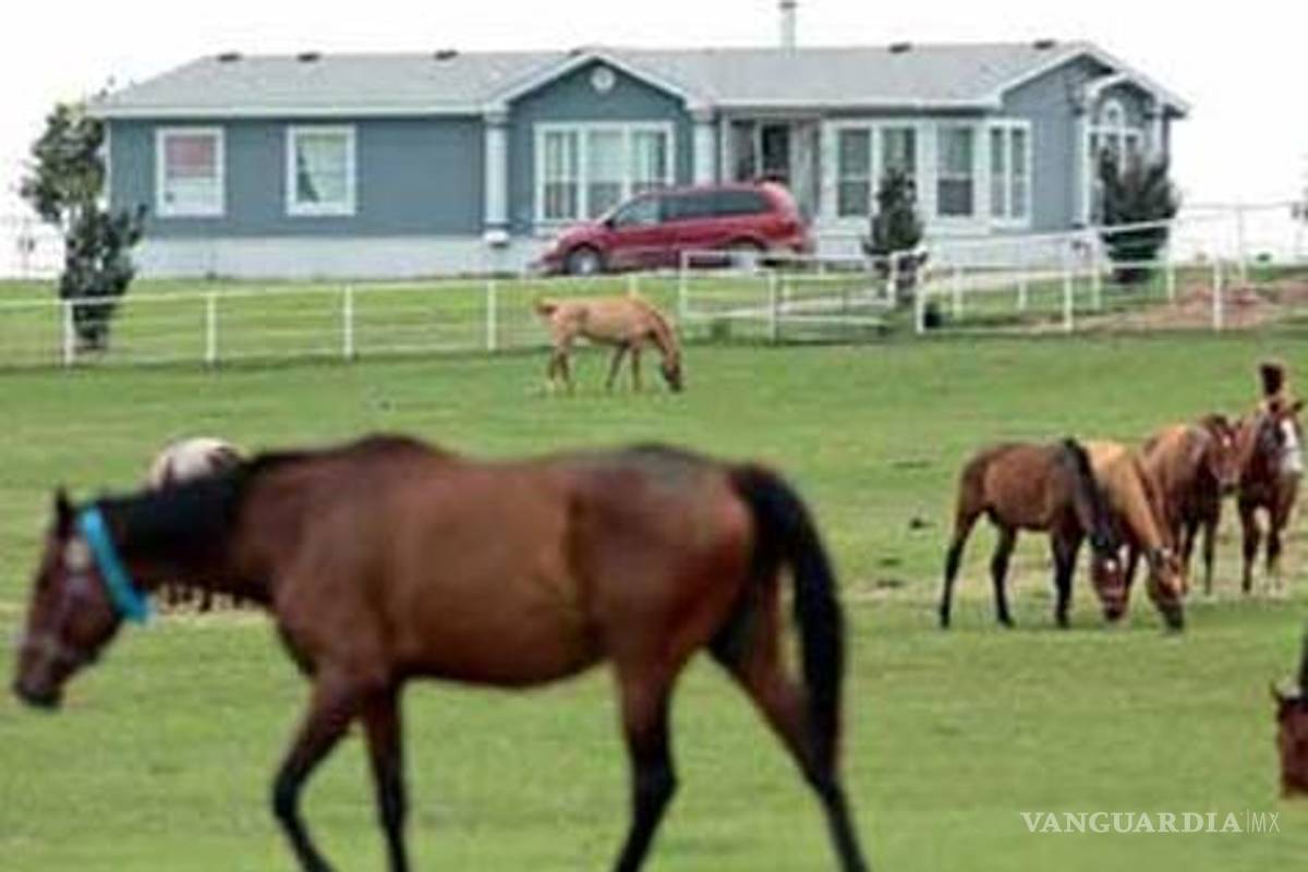 Esposa del dueño de los Spurs de San Antonio compra caballo de 'Los Zetas' en un millón de dólares