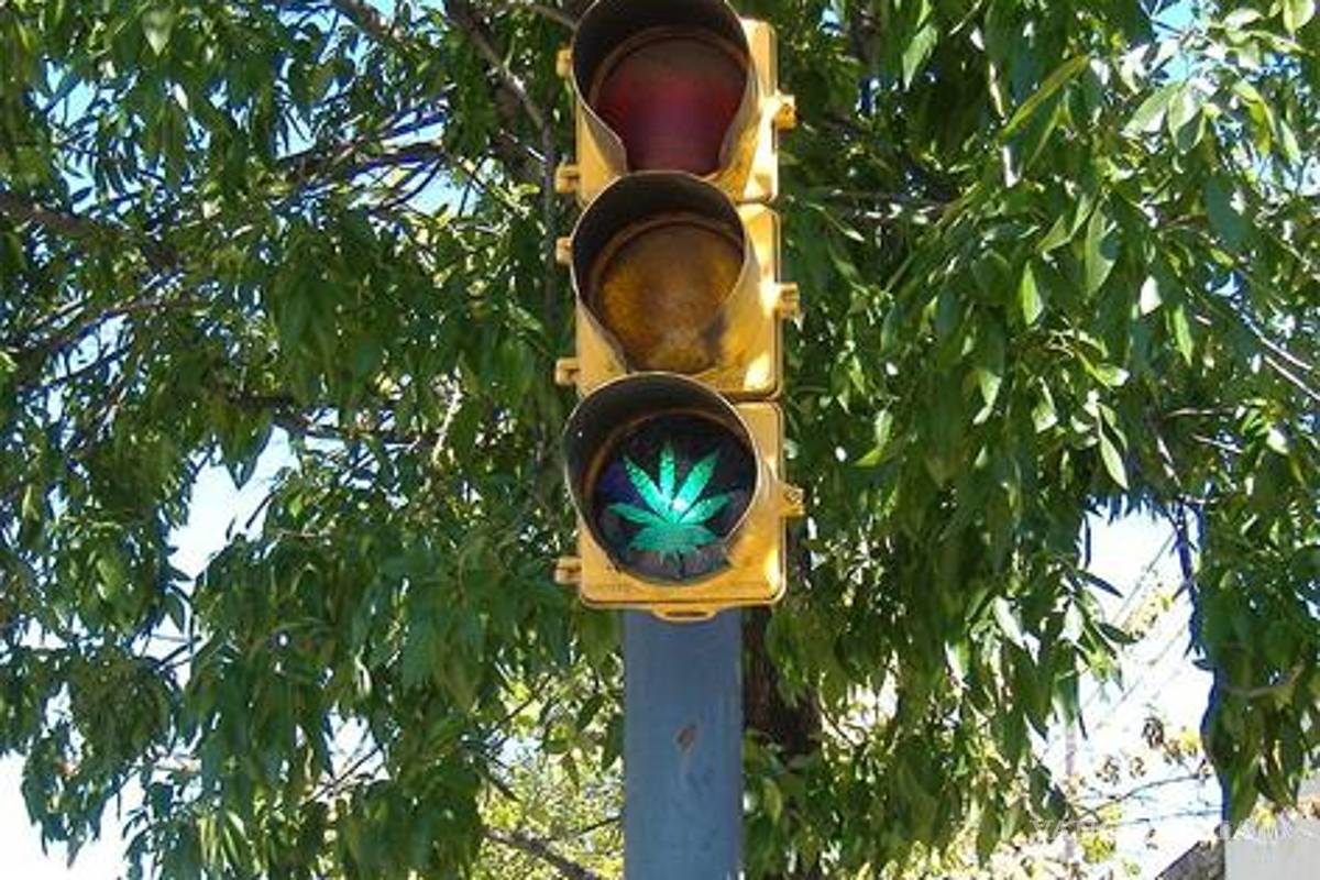 Dos estados aprobaron consumo recreativo de marihuana en EU