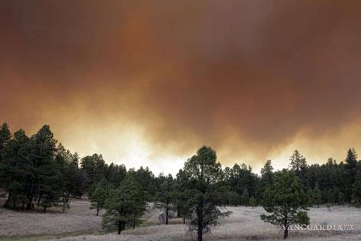 Muere hombre en combate de incendio en Guerrero
