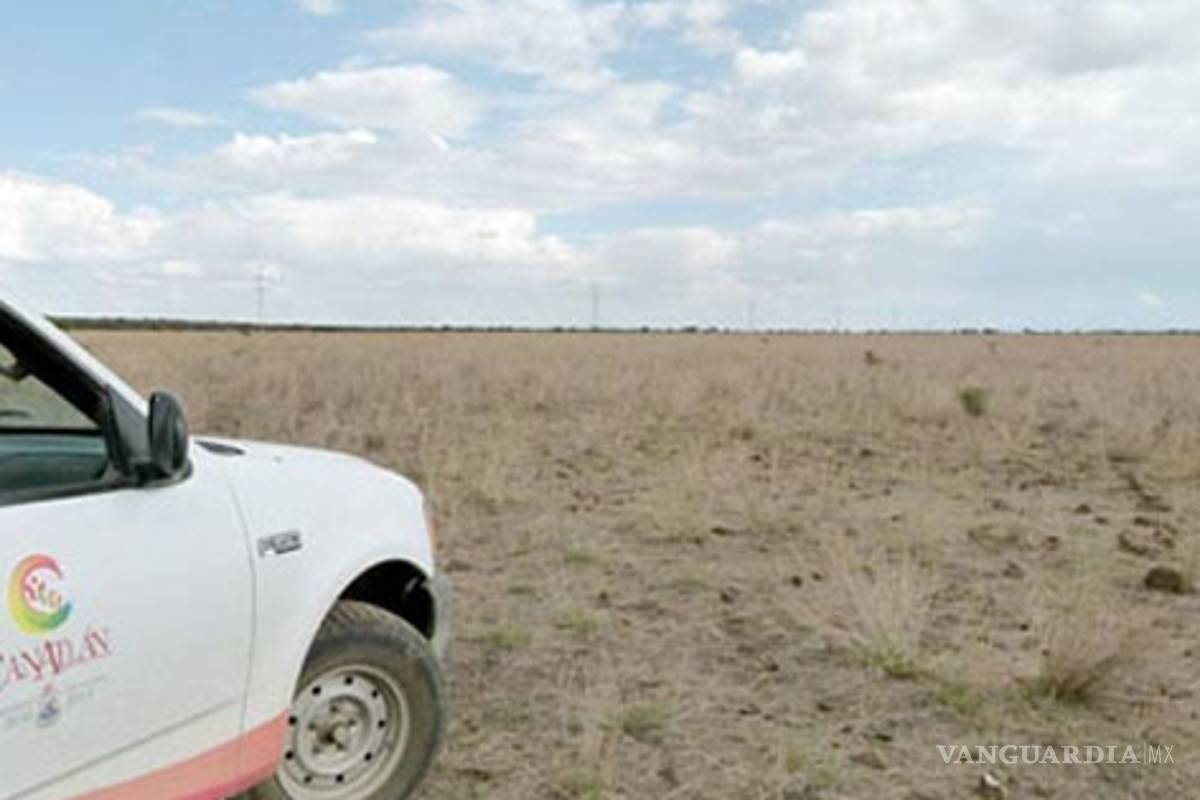 Durango tendrá el huerto solar más grande del mundo